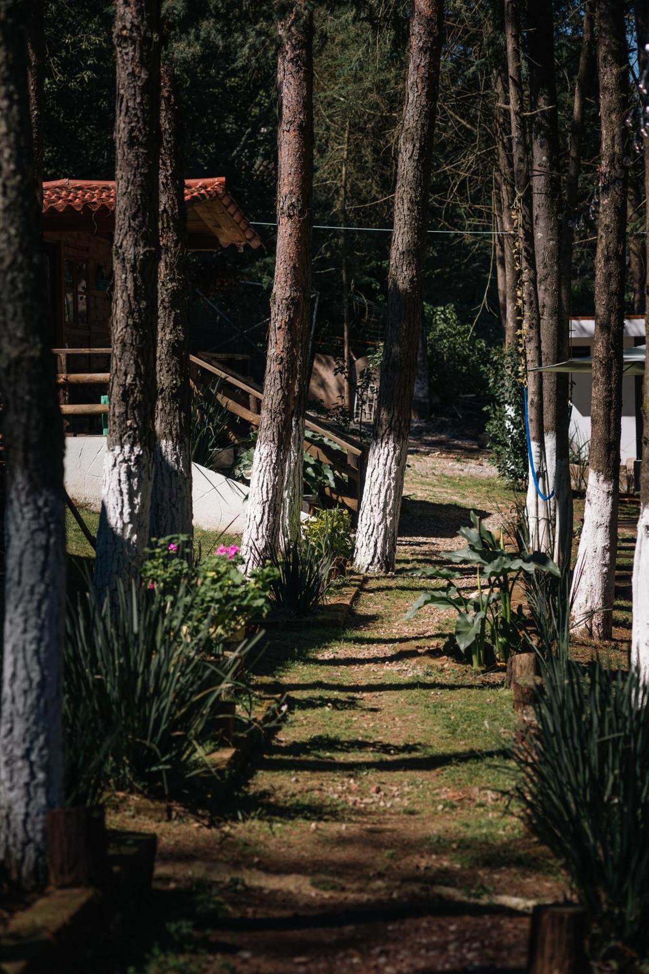 El Descanso Casa-Hotel Zacatlan. Bagian luar foto